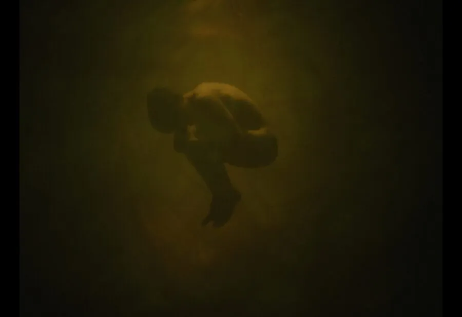 The Boy With the Light Blue Eyes - Studio Corvus 