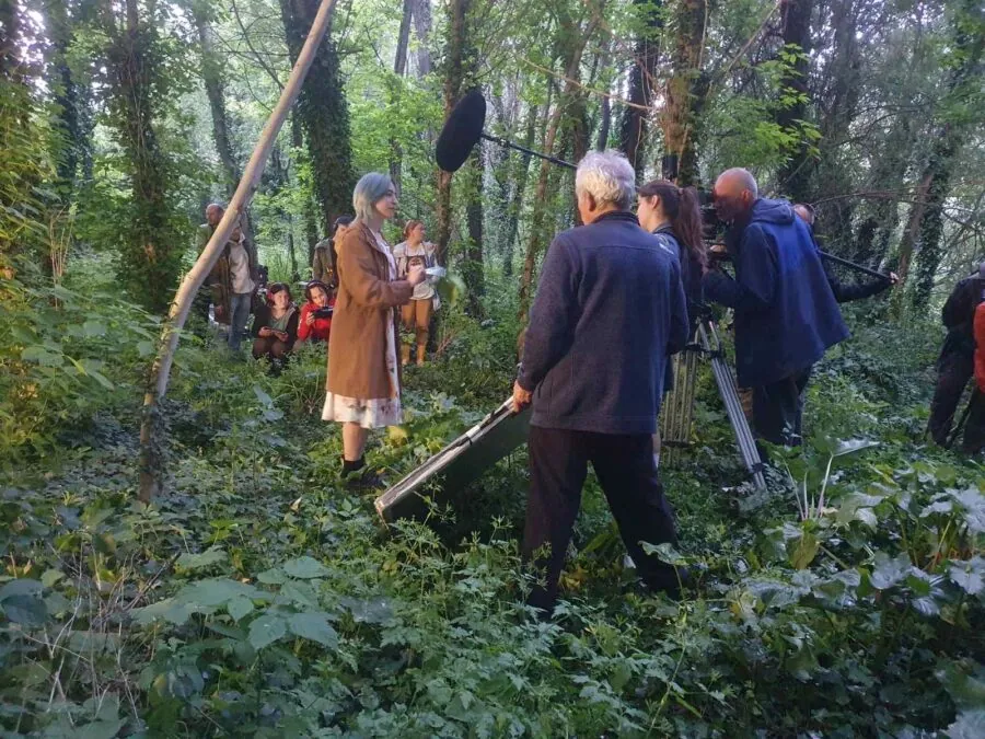 Sweetness of Bitter Things - Studio Corvus 