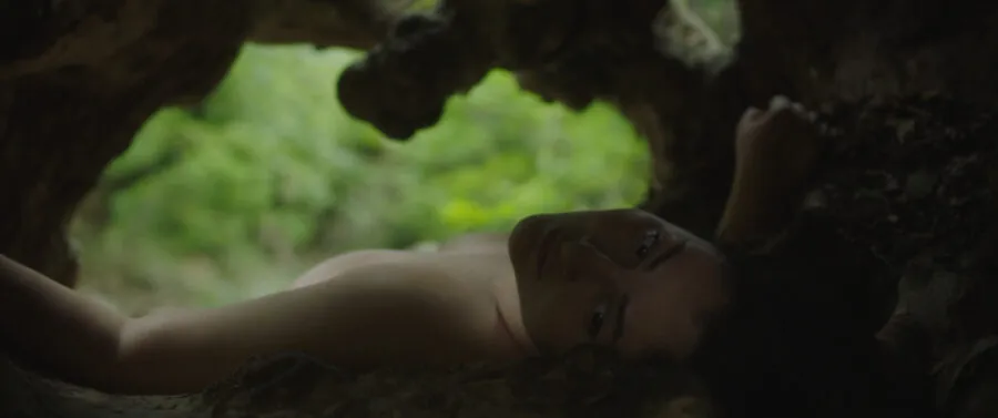 Sweetness of Bitter Things